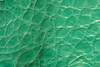 Exotic Genuine Leather - Crocodile Green Acid